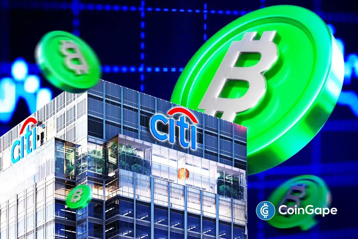 Citigroup stablecoin custody payment solutions 2024
